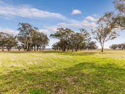 494 Carmody Road, Muskerry