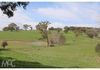 38 Offner Road, Orange