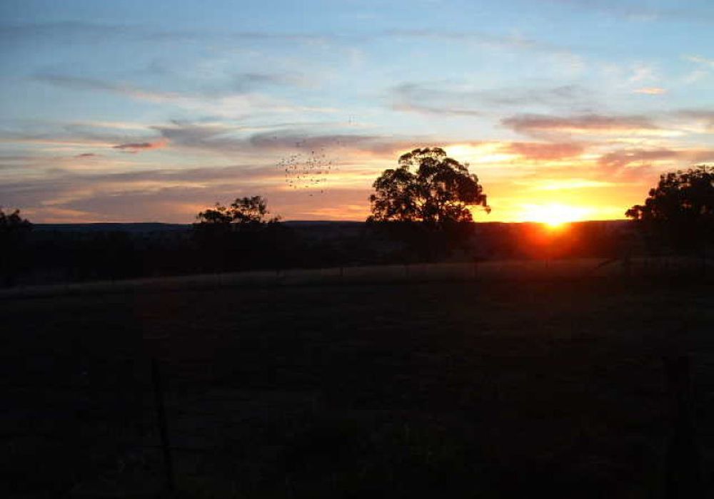 2474 Mitchell Highway, Molong