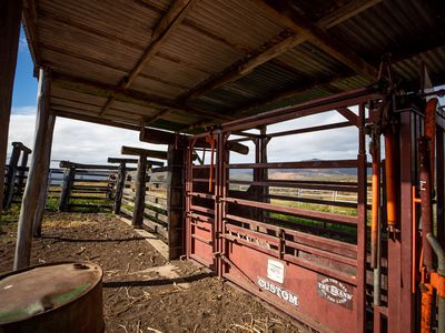 43 Berlin Road, Mount Berryman