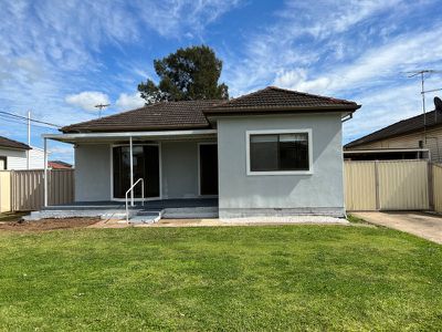43 Webster Road, Lurnea