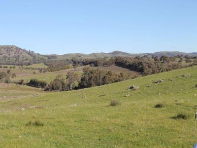 345 Hardings Lane, Tooborac