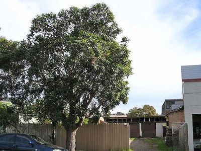 137 Delhi Street, Lidcombe