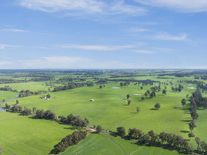 972 CAPEL TUTUNUP ROAD, Tutunup