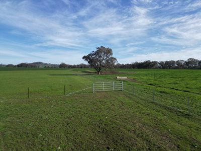'Willowbank' Urana Road, Jindera