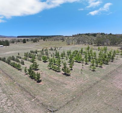 760 Wallaces Gap Road, Braidwood