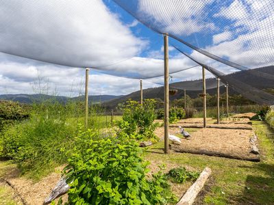 1775 Pelverata Road, Upper Woodstock