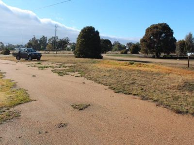 22 Wakoola Street, Wakool