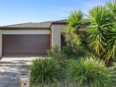 11 Rifflebird Drive, Tarneit