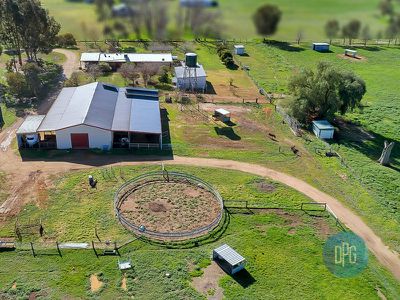 61 Forest Lane, Markwood