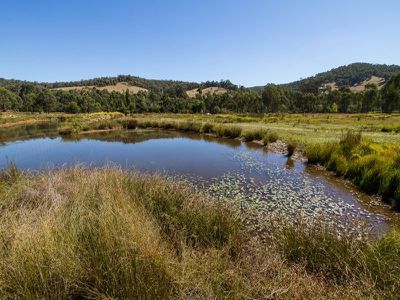 23 Crystal Creek Lane, Yackandandah