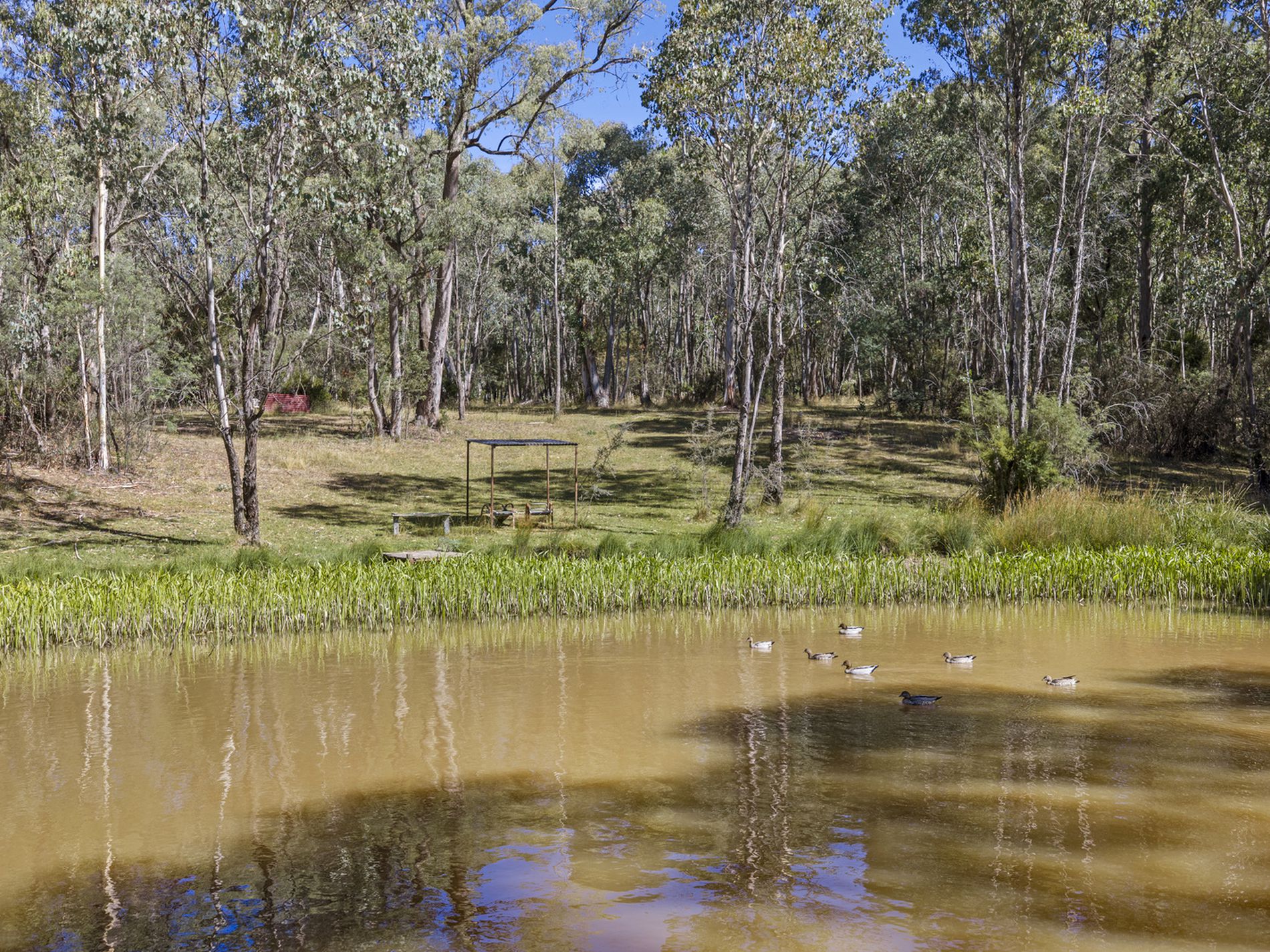 88 Altmans Road, Tolmie