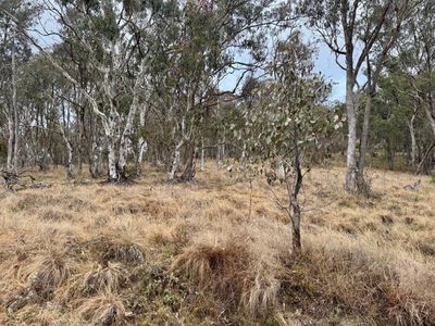 Lot 231, Wollun Road, Walcha Road