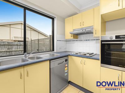 20 Gwalia Close, Medowie