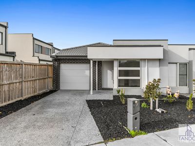 7 Fitzrovia Drive, Wyndham Vale