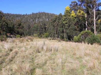 Lot 10, Lonnavale Road, Lonnavale