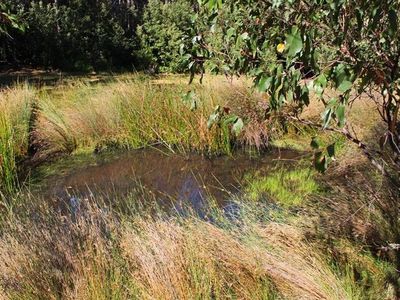 Lot 2 Roberts Road, Kaoota