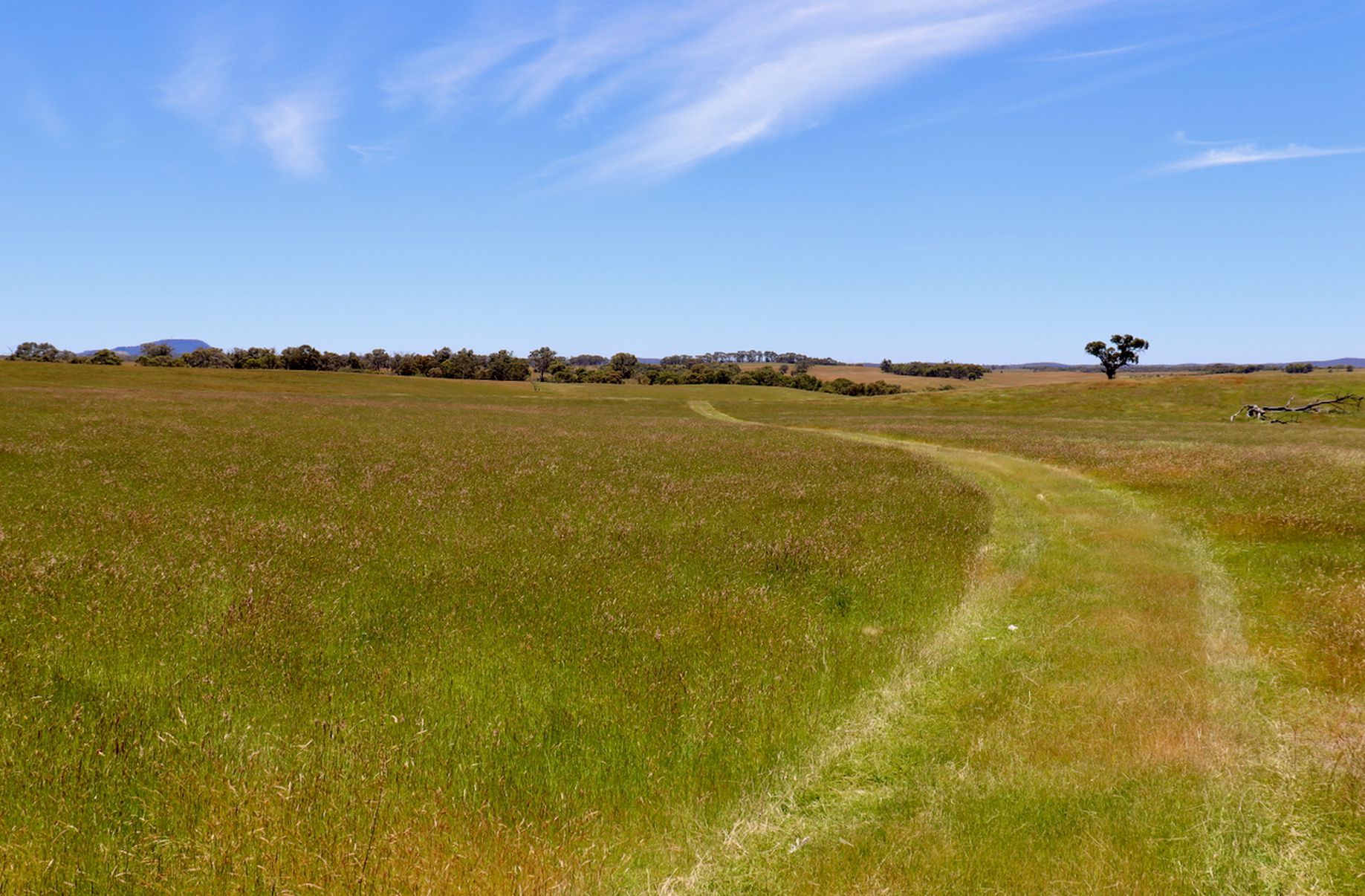 Lot 13, 13A, 13B, 31A &, 31C BRIDGE ROAD, Grenville