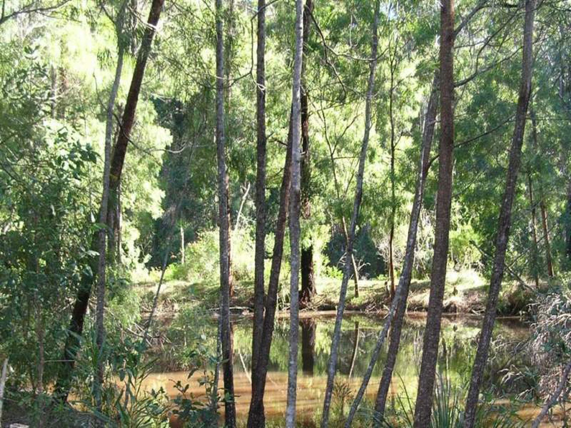 650E 650E Woodburn Road, Milton