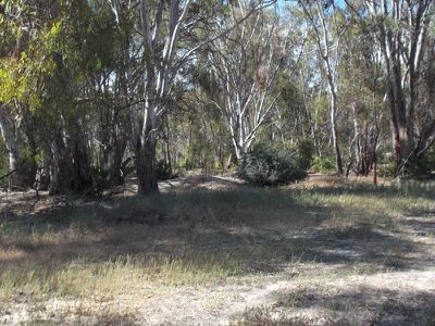 Koondrook