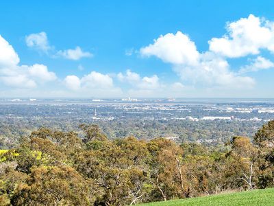 308 Medlow Road, One Tree Hill