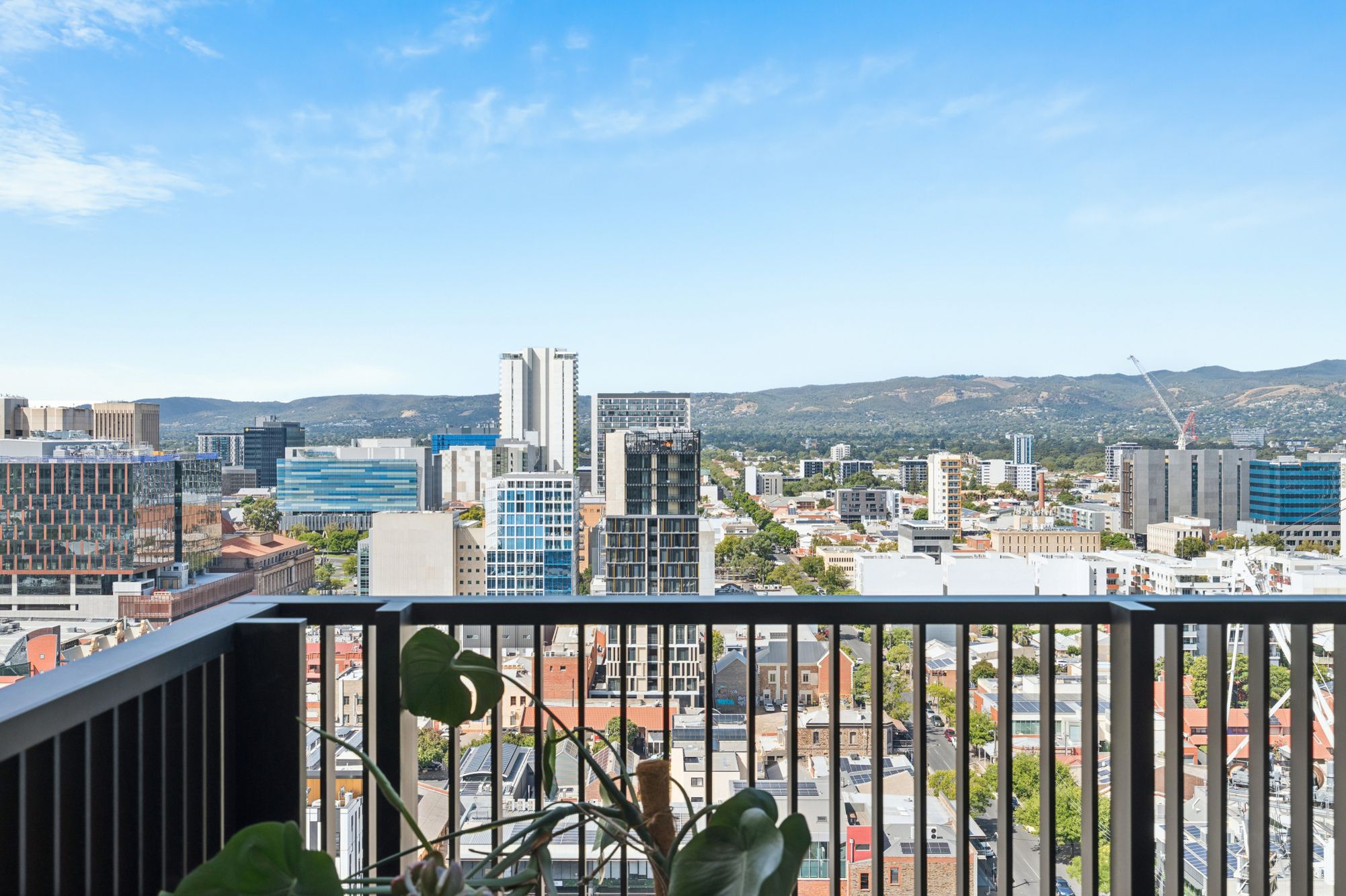 1807 / 156 Wright Street, Adelaide