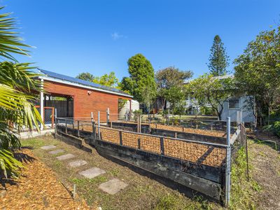 41 Ocean View Road, Arrawarra Headland