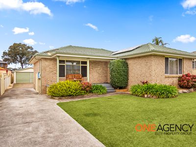 17 Fir Crescent, Albion Park Rail