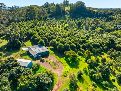 480 Ponsfords Road, Comboyne