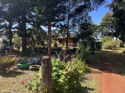 14931 Chinchilla Wondai Road, Tingoora