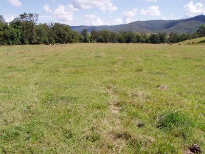 Conondale