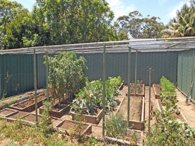 6 Pindari Place, Ulladulla