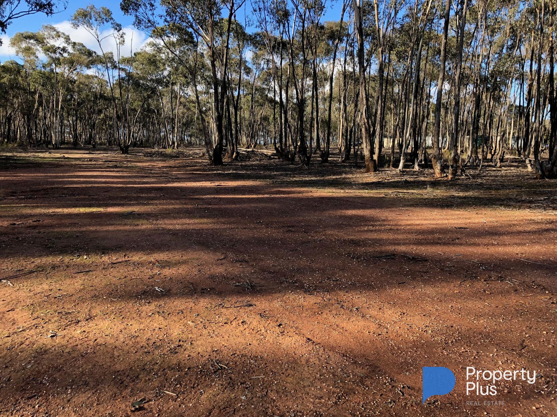 59 Palmer Road, Simson