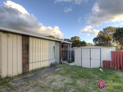 62 Strelitzia Avenue, Forrestfield