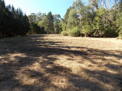 Ourimbah