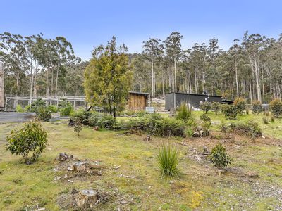 496 Judds Creek Road, Judbury