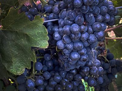 470 Northern Highway, Heathcote