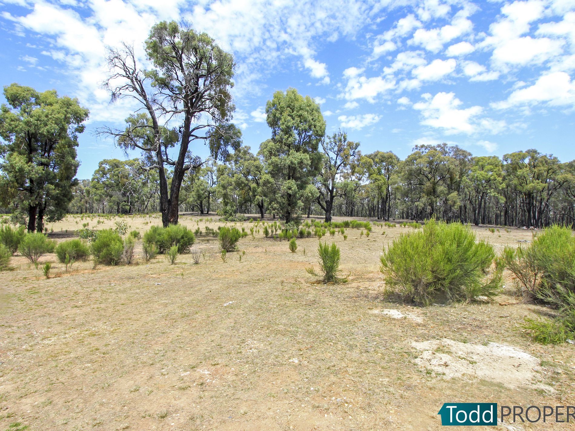 117 Lewis Road, Heathcote