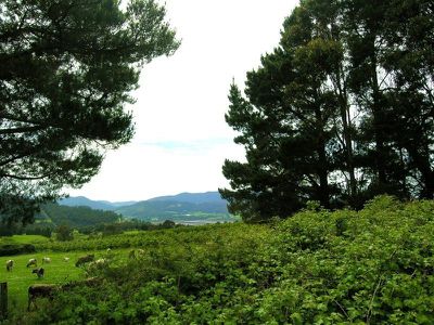 Braeside Road, Franklin