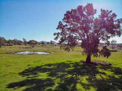 68 Merinda Way, Mansfield