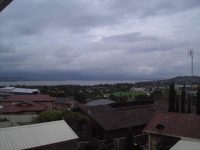 Blackbutt