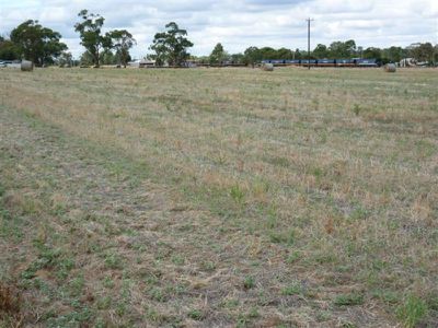 lot 5 & 6 Ellermann Street, Dimboola