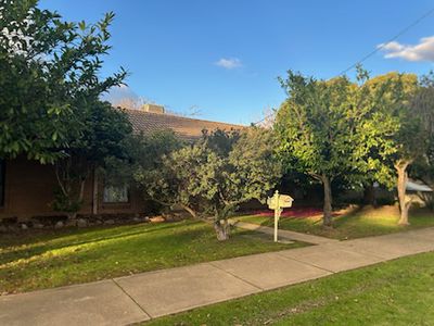 8 Cruse Street, Wangaratta