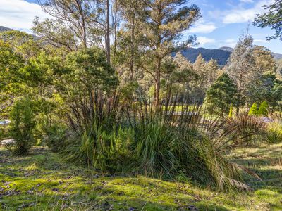 Lot 1, Smiths Road, Nicholls Rivulet