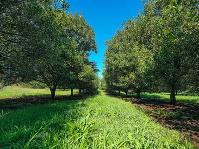 1740  Nimbin Road, Koonorigan