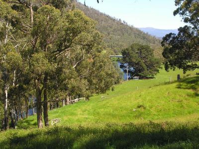 Lot 1 North Huon Road, Judbury