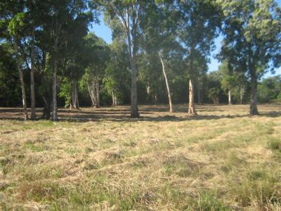 Lot 15, Slaughter Yard Road, Cooktown