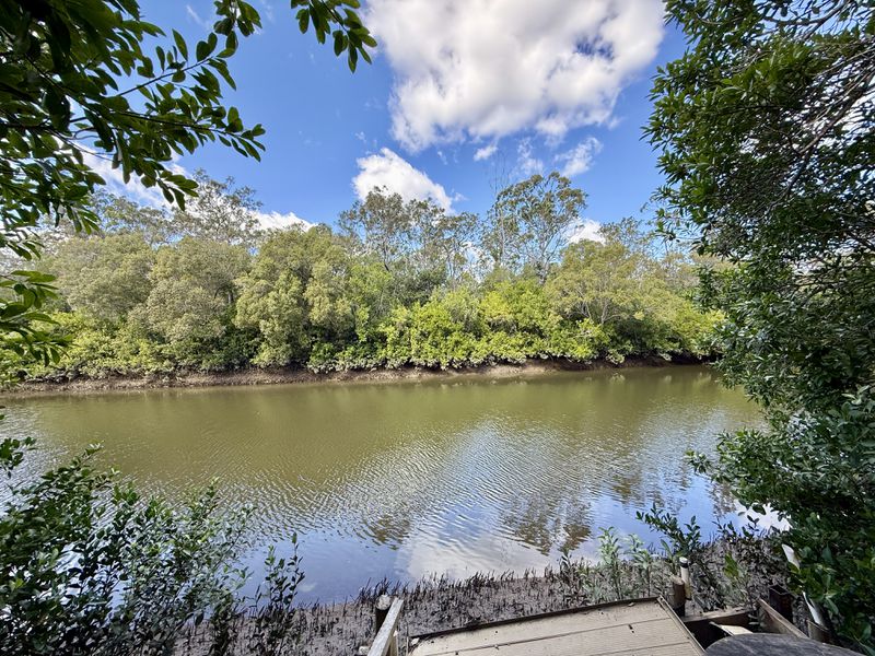 12 Cherwell Crescent, Pacific Haven, QLD, Pacific Haven - Thumbnail 5