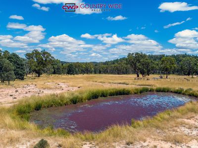 729 Wallangra Road, Ashford