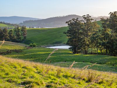 Lot 1, Winns Road, Cygnet